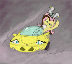 Size: 2615x2310 | Tagged: safe, artist:hewison, fluttershy, pony, g4, car, duo, high res