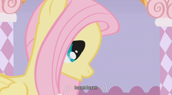 Size: 640x355 | Tagged: safe, screencap, fluttershy, g4, suited for success, boom boom, youtube caption