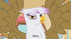 Size: 640x355 | Tagged: safe, edit, edited screencap, screencap, gilda, griffon, g4, griffon the brush off, my little pony: friendship is magic, caption, female, stripper, strippers, text, wingboner, youtube caption