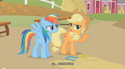 Size: 640x355 | Tagged: safe, edit, edited screencap, screencap, applejack, rainbow dash, earth pony, pegasus, pony, fall weather friends, g4, caption, female, horseshoes, iraq, mare, youtube caption