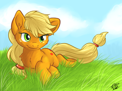 Size: 800x600 | Tagged: safe, artist:fizzy-dog, applejack, earth pony, pony, g4, chest fluff, female, grass, mare, prone, solo