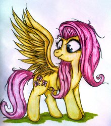 Size: 1458x1655 | Tagged: safe, artist:tomek2289, fluttershy, pegasus, pony, g4, female, looking at self, looking at something, mare, messy mane, solo, spread wings, standing, traditional art, wings