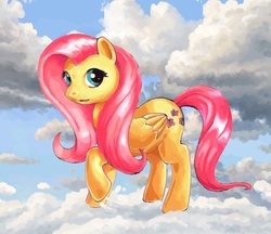 Size: 604x523 | Tagged: safe, artist:choedan-kal, fluttershy, pegasus, pony, g4, cloud, cloudy, female, mare, raised hoof, solo