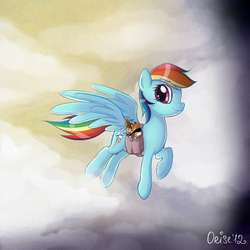 Size: 1000x1000 | Tagged: dead source, safe, artist:lisaorise, rainbow dash, mouse, pegasus, pony, g4, bag, female, flying, mare