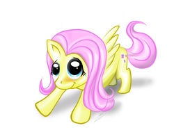 Size: 1280x1024 | Tagged: safe, artist:dori-to, fluttershy, pegasus, pony, g4, blushing, female, looking at you, looking up, mare, simple background, smiling, solo, spread wings, standing, three quarter view, white background, wings