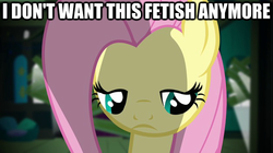 Size: 626x351 | Tagged: safe, fluttershy, pony, g4, bust, female, image macro, looking down, mare, sad, solo