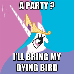 Size: 500x500 | Tagged: safe, princess celestia, pony, g4, meme