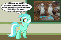 Size: 887x588 | Tagged: safe, lyra heartstrings, bird, booby, g4, chalkboard, female, human studies101 with lyra, looking back, meme, open mouth, photo, raised hoof, smiling, solo