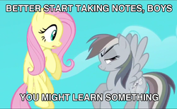 Size: 961x591 | Tagged: safe, fluttershy, rainbow dash, g4, discorded, image macro