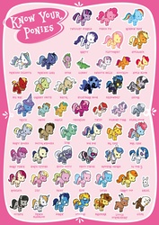 Size: 5031x7087 | Tagged: safe, artist:tinrobo, aloe, angel bunny, apple bloom, applejack, berry punch, berryshine, big macintosh, bon bon, braeburn, carrot cake, carrot top, cheerilee, cup cake, daisy, derpy hooves, descent, diamond tiara, dj pon-3, doctor whooves, flower wishes, fluttershy, gilda, golden harvest, granny smith, gummy, hoity toity, horte cuisine, lily, lily valley, little strongheart, lotus blossom, lyra heartstrings, mayor mare, nightmare moon, octavia melody, photo finish, pinkie pie, prince blueblood, princess celestia, princess luna, rainbow dash, rarity, roseluck, sapphire shores, savoir fare, scootaloo, silver spoon, snails, snips, soarin', spike, spitfire, sweetie belle, sweetie drops, time turner, trixie, twilight sparkle, twist, vinyl scratch, zecora, alligator, bison, buffalo, dragon, earth pony, griffon, pony, zebra, g4, absurd resolution, chart, clothes, costume, cupcake, cutie mark crusaders, flower trio, food, male, mane seven, mane six, needs more jpeg, ponycon, poster, s1 luna, shadowbolts, shadowbolts costume, spa twins, stallion, wall of tags