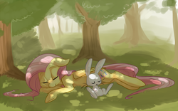 Size: 1125x700 | Tagged: safe, artist:php27, angel bunny, fluttershy, pegasus, pony, g4, dappled sunlight, female, floppy ears, forest, mare, sleeping, tree