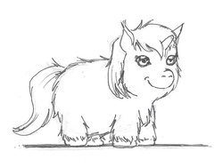 Size: 722x544 | Tagged: safe, fluffy pony, fluffy pony original art, realistic, sketch