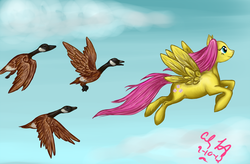 Size: 900x591 | Tagged: safe, artist:makomaragi, fluttershy, g4, geese