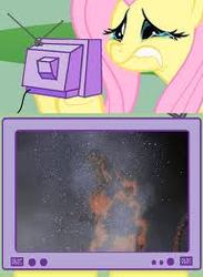 Size: 192x263 | Tagged: safe, fluttershy, kaiju, pony, g4, burning godzilla, death of godzilla, exploitable meme, fluttercry, godzilla, godzilla (series), godzilla vs destoroyah, meme, sad, tv meme