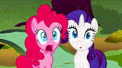 Size: 500x281 | Tagged: safe, screencap, pinkie pie, rarity, earth pony, pony, unicorn, g4, putting your hoof down, animated, duo, female, jaw drop, mare