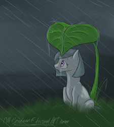 Size: 600x666 | Tagged: safe, artist:nos-talgia, marble pie, earth pony, pony, g4, female, leaf, rain, solo