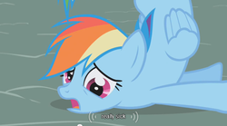 Size: 640x355 | Tagged: safe, screencap, rainbow dash, pegasus, pony, boast busters, g4, derp, solo, youtube caption