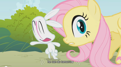 Size: 640x355 | Tagged: safe, screencap, angel bunny, fluttershy, g4, smear frame, wat, youtube caption