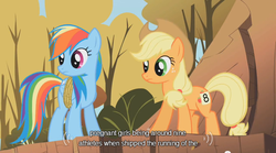 Size: 640x355 | Tagged: safe, edit, edited screencap, screencap, applejack, rainbow dash, earth pony, pegasus, pony, fall weather friends, g4, caption, female, mare, rope, text, youtube caption