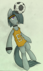 Size: 1182x1920 | Tagged: safe, artist:lonelycross, marble pie, g4, football