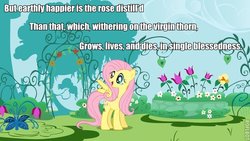 Size: 600x338 | Tagged: safe, fluttershy, g4, a midsummer night's dream, image macro, william shakespeare