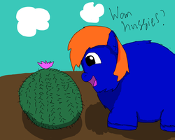 Size: 1280x1024 | Tagged: safe, fluffy pony, cactus, fluffy pony original art, stupidity, this will end in tears