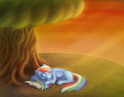 Size: 4200x3300 | Tagged: safe, artist:torcher999, rainbow dash, pegasus, pony, g4, book, female, mare, sleeping, solo, tree