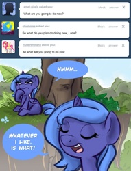 Size: 500x655 | Tagged: safe, artist:robd2003, princess luna, moon-fall, g4, ask