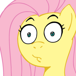 Size: 945x945 | Tagged: safe, artist:megasweet, fluttershy, g4, reaction image