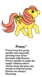 Size: 550x1000 | Tagged: safe, posey, pony, g1, official, bow, g1 backstory, my little pony fact file, tail, tail bow, text
