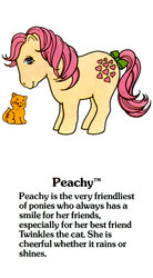 Size: 550x1000 | Tagged: safe, peachy, twinkles, cat, g1, official, g1 backstory, my little pony fact file, pet