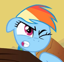Size: 485x466 | Tagged: safe, screencap, rainbow dash, pegasus, pony, g4, over a barrel, season 1, cropped, faic, female, gritted teeth, mare, one eye closed, solo, wince