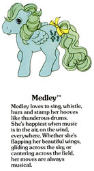 Size: 550x1000 | Tagged: safe, medley, g1, official, g1 backstory, my little pony fact file