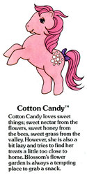 Size: 500x1000 | Tagged: safe, cotton candy (g1), g1, g1 backstory, my little pony fact file, rearing