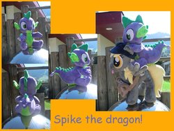 Size: 900x675 | Tagged: safe, artist:caleighs-world, derpy hooves, spike, pegasus, pony, g4, comic sans, female, irl, mare, outdoors, photo, plushie, spike plushie