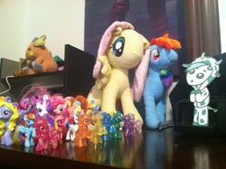 Size: 2592x1936 | Tagged: safe, applejack, emerald ray, fluttershy, lily blossom, pinkie pie, princess cadance, rainbow dash, rarity, shining armor, twilight sparkle, pony, raichu, g4, bootleg, code lyoko, irl, photo, plushie, toy, ulcow, ulrich stern