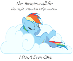 Size: 1600x1348 | Tagged: safe, rainbow dash, pony, g4, shamless self promotion