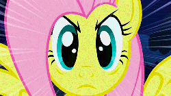 Size: 500x281 | Tagged: safe, screencap, fluttershy, g4, animated, female, the stare