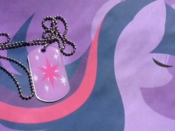 Size: 960x720 | Tagged: safe, twilight sparkle, g4, dog tags, irl, merchandise, photo