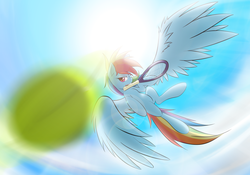 Size: 900x630 | Tagged: dead source, safe, artist:rolo, rainbow dash, pegasus, pony, g4, ball, duo, female, mare, mouth hold, sports, tennis, tennis ball
