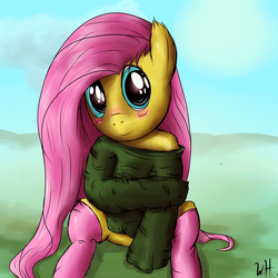 Size: 2500x2500 | Tagged: safe, artist:brony2you, fluttershy, pegasus, pony, g4, bottomless, clothes, female, high res, mare, partial nudity, socks, solo, sweater, sweatershy