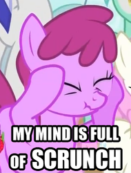 Size: 260x343 | Tagged: safe, edit, edited screencap, screencap, berry punch, berryshine, g4, berry scrunch, image macro, my mind is full of fuck, scrunchy face