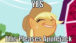 Size: 640x360 | Tagged: safe, applejack, earth pony, pony, g4, female, image macro, solo