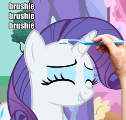 Size: 753x720 | Tagged: safe, rarity, g4, brushie, image macro, solo focus, toothbrush