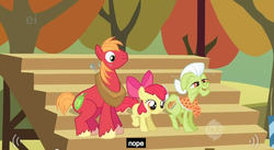 Size: 635x348 | Tagged: safe, screencap, apple bloom, big macintosh, granny smith, earth pony, pony, g4, male, nope, stallion, youtube caption