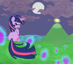 Size: 4500x4000 | Tagged: safe, artist:dustyranger, twilight sparkle, g4, night