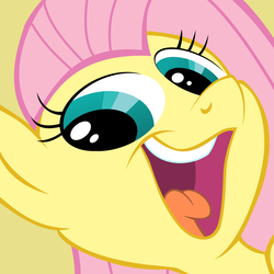 Size: 1200x1200 | Tagged: safe, artist:pikachux1000, fluttershy, pony, g4, female, reaction image, smeel, solo