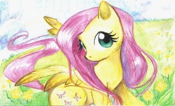 Size: 2455x1496 | Tagged: safe, artist:paulina-ap, fluttershy, pegasus, pony, g4, female, mare, solo, traditional art