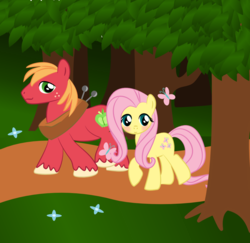 Size: 1000x973 | Tagged: safe, artist:jrk08004, big macintosh, fluttershy, earth pony, pony, g4, male, ship:fluttermac, shipping, stallion, straight