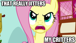 Size: 624x351 | Tagged: safe, edit, edited screencap, screencap, fluttershy, g4, adventure in the comments, angry, image macro, jimmies, reaction image, rustled my jimmies